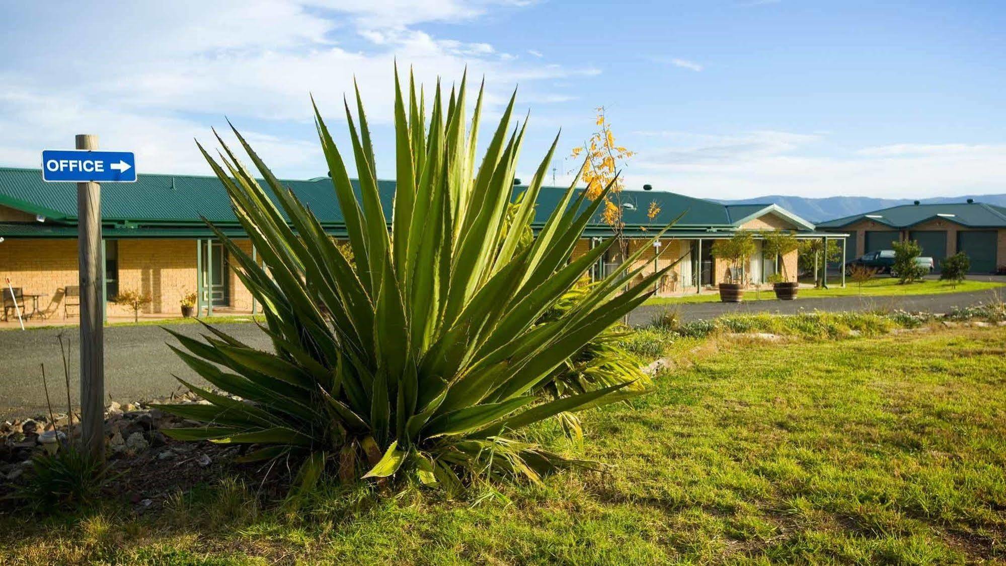 Talga Estate Villa Lovedale Exterior foto